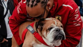 Lewis Hamilton posts emotional tribute to beloved dog Roscoe